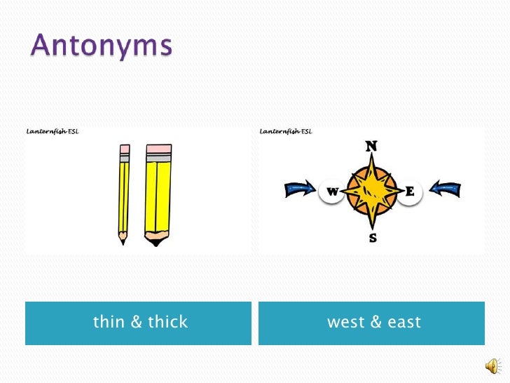 Thin antonym